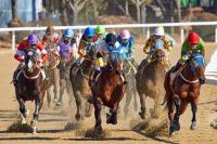 horse-race-324.jpg