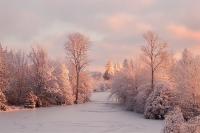 snow-trees-lake-1.jpg