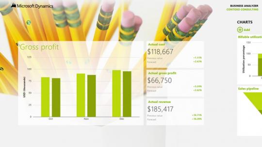 Business Analyzer R5 app for Windows 8