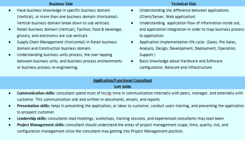 Microsoft Dynamics Consultant Skills List