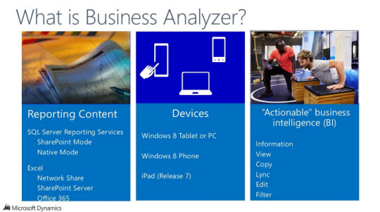 Microsoft Dynamics Business Analyzer