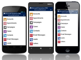 Microsoft Dynamics CRM 2013 mobile interface