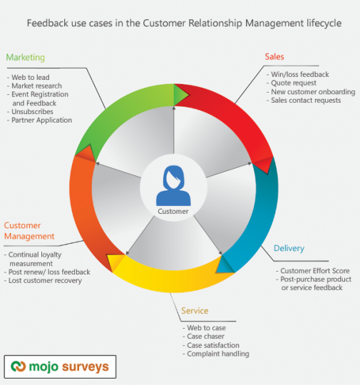 Mojo Surveys Feedback