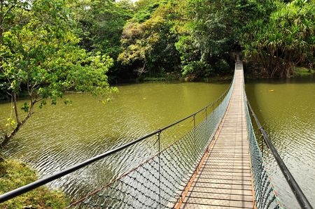 River bridge