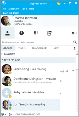 Skype for Business interface