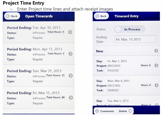 Microsoft Dynamics SL 2011 CU1 project time entry web app