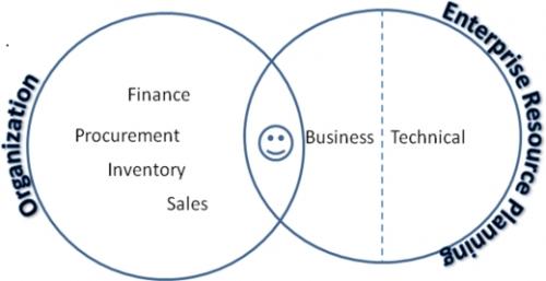 Microsoft Dynamics Application Consultant Skills