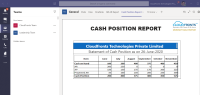 cash_position_report.png