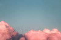 cloud-birds-1.jpg