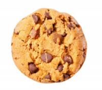 cookie-chocchip-260.jpg