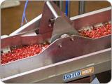 key-tech-iso-flo-vibratory-conveyor.jpg