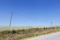 telephone-line-dirt-road.jpg