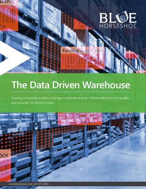 data_driven_warehouse_-_blue_horseshoe.pdf