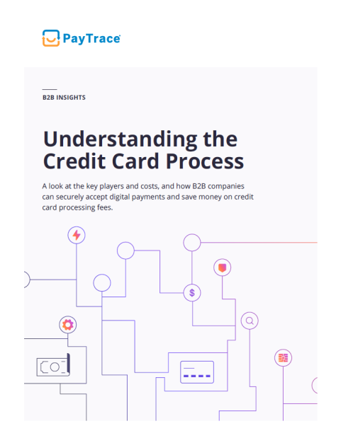 Image of the title page of the white paper that shows a credit card with digital pathways to other entities