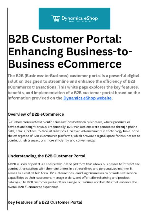 b2b_customer_portal.pdf