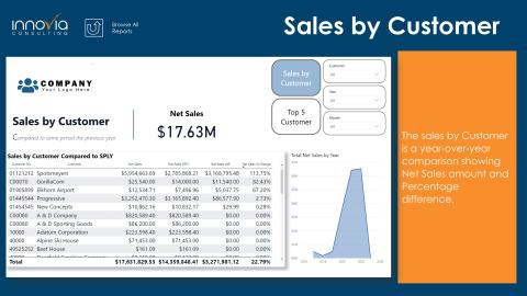 power-bi-sales-by-customer.jpg