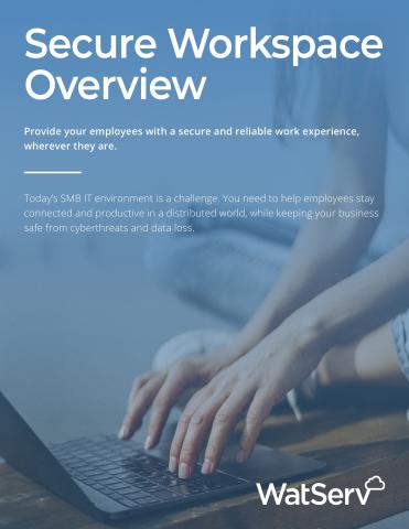 secure_workspace_overview_page_1.jpg