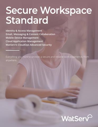 secure_workspace_standard_page_1.jpg